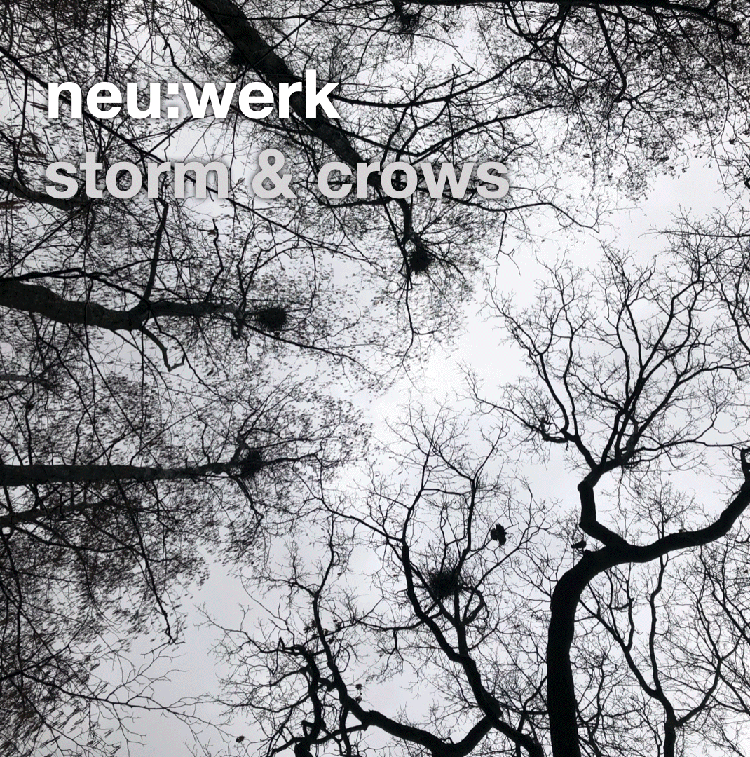 EP 'storm &amp crows'